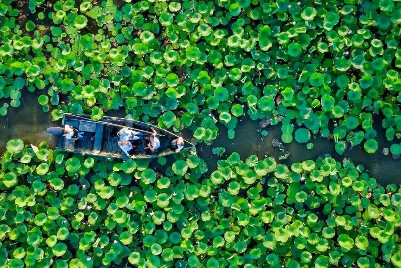 تالاب انزلی؛ تاریخچه، دیدنی‌ها و راهنمای کامل بازدید